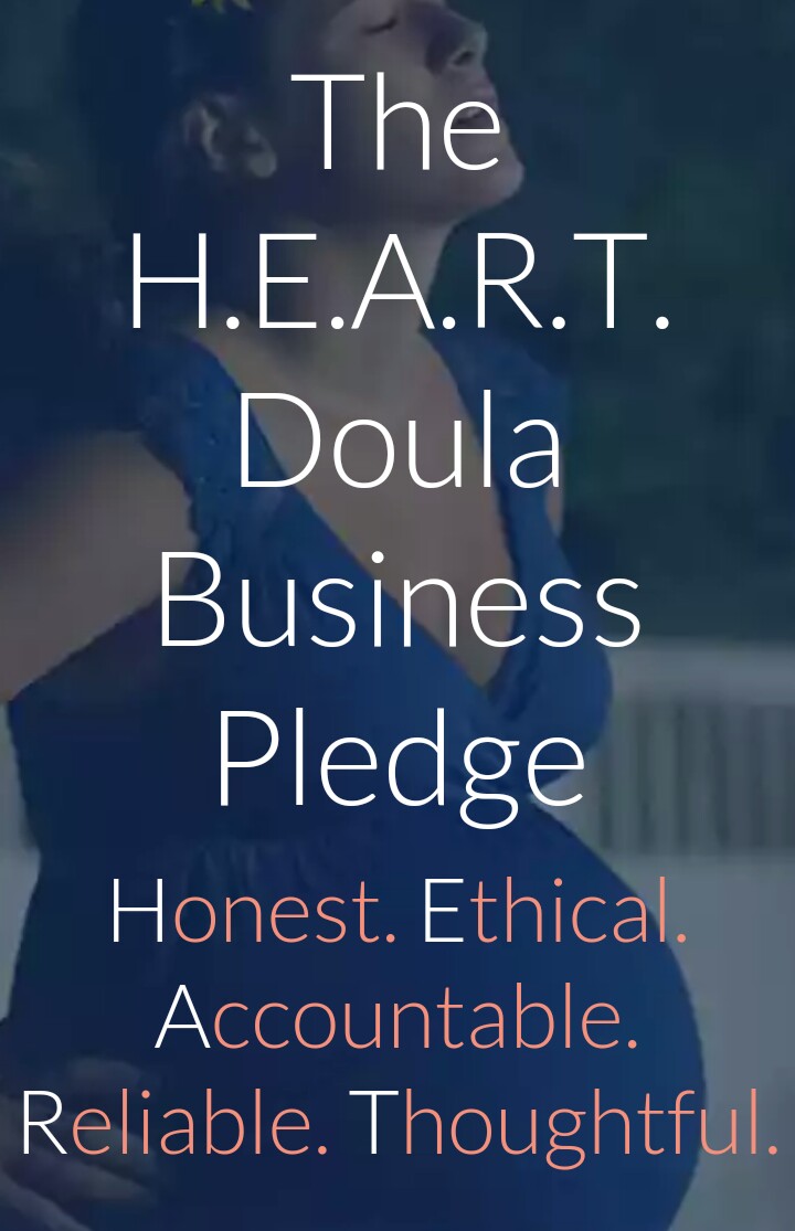 wp-1440118846572 image